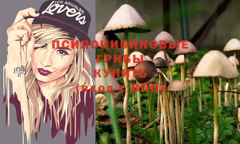 что такое наркотик  МЕГА ссылки  Галлюциногенные грибы Psilocybe  Кропоткин 